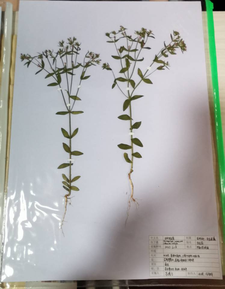 28C6EFF026E99EF93966CBA00AC6068B